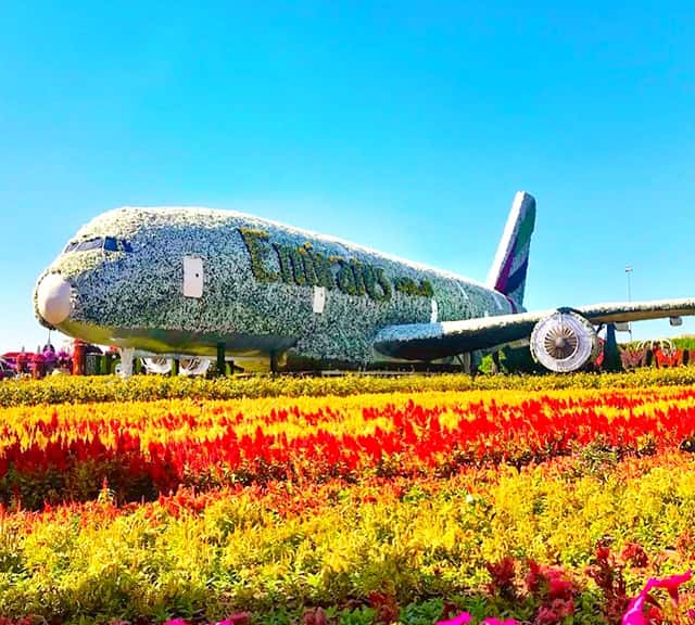 Emirates A380 Flowers