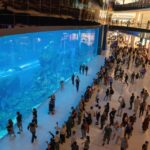 Dubai Mall Aquarium
