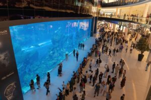 Dubai Mall Aquarium