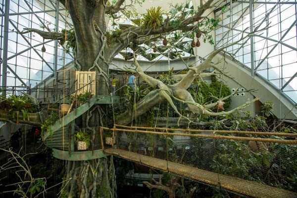 Biodome Green Planet Dubai