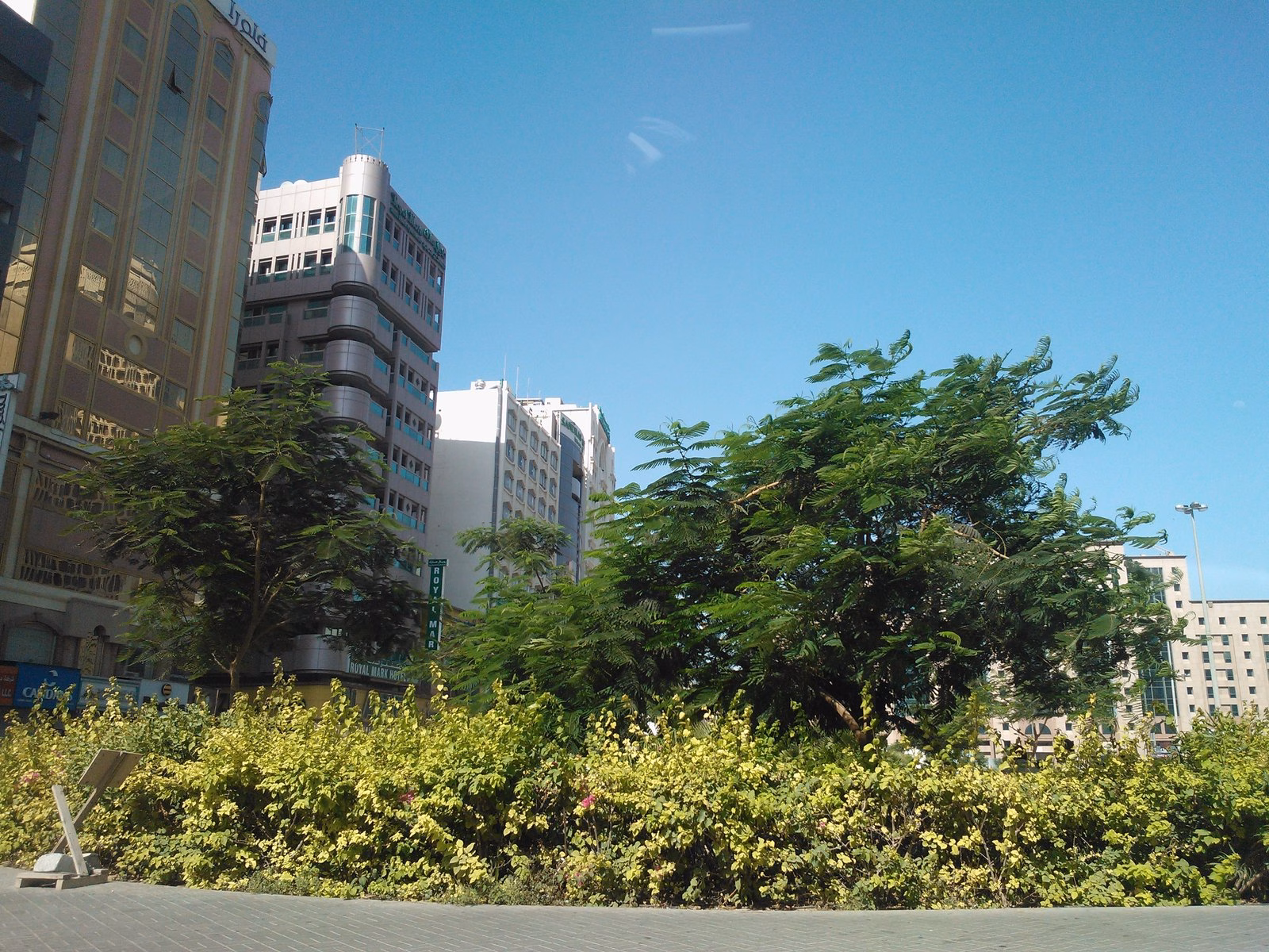 Tree-lined Al Rigga street in Deira, Dubai, with residential towers in the neighbourhood around the Al Rigga night market